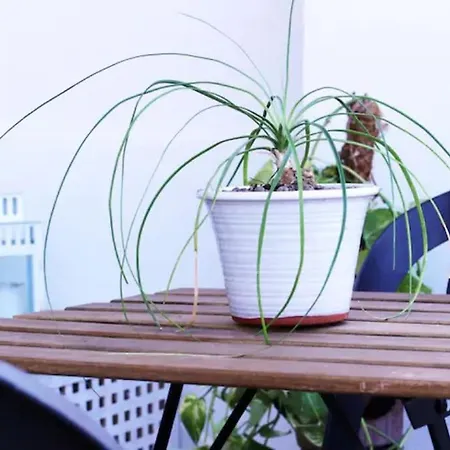 Cozy Vatican With Starry Balcony Garden 公寓